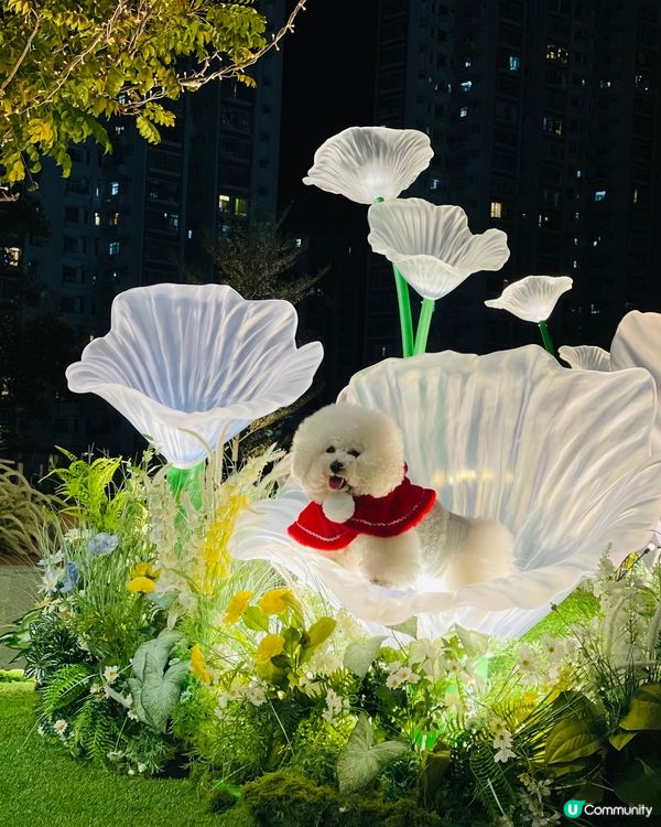 沙田新城市廣場