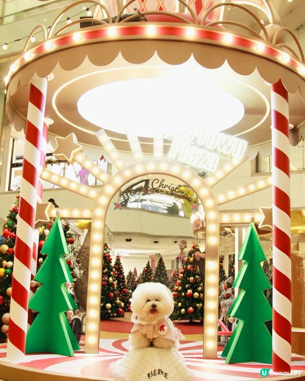 沙田新城市廣場