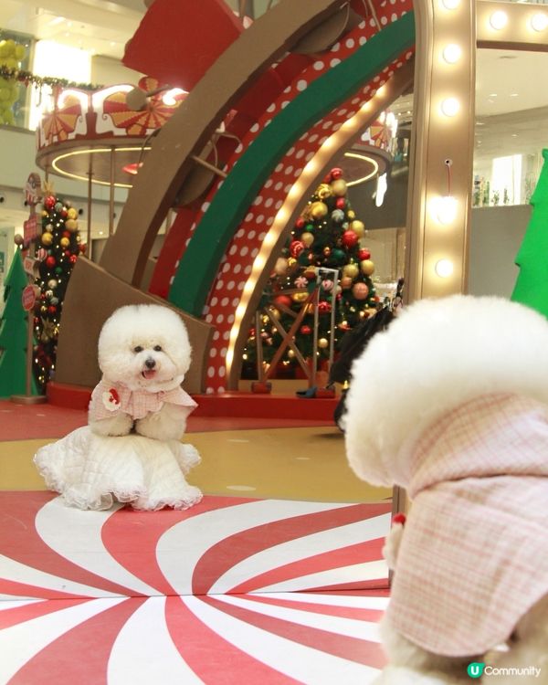 沙田新城市廣場