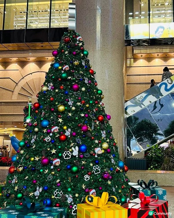 時代廣場聖誕快閃🤩🤩