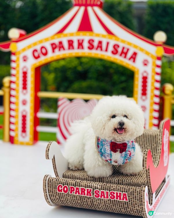 西沙go park 聖誕佈置