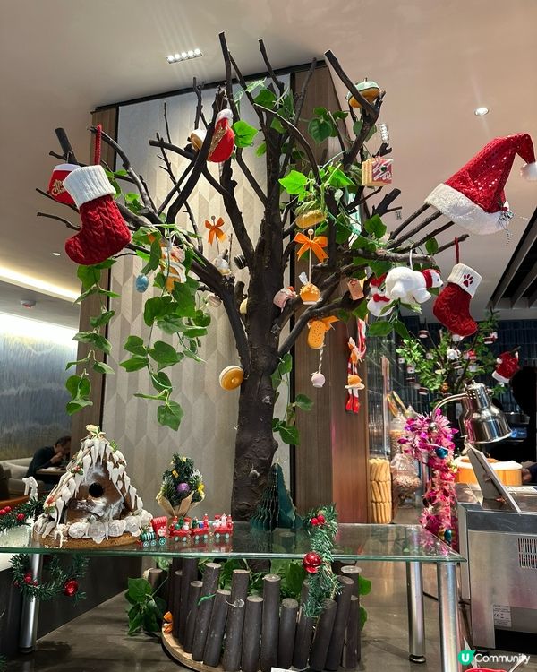 🎄聖誕自助餐！😋 慰勞自己同家人！🥳