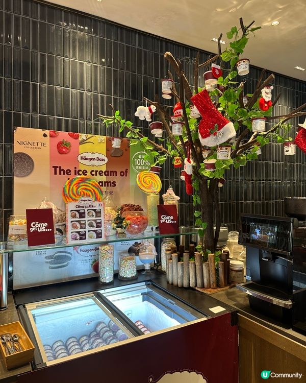 🎄聖誕自助餐！😋 慰勞自己同家人！🥳