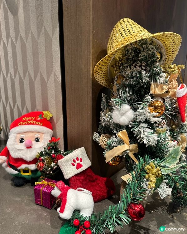 🎄聖誕自助餐！😋 慰勞自己同家人！🥳