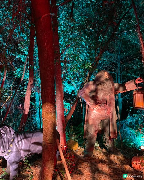 深圳哈利波特展