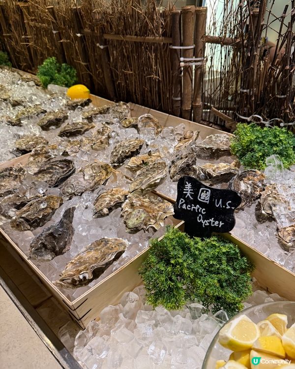 聖誕自助餐開餐啦🤤長腳蟹龍蝦任你食🦀🦞