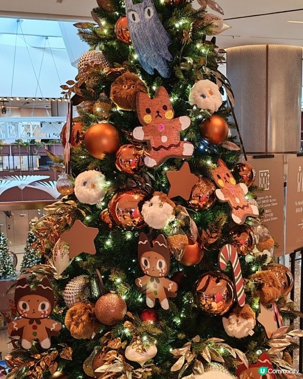 Merry Christmas 🥳🥳