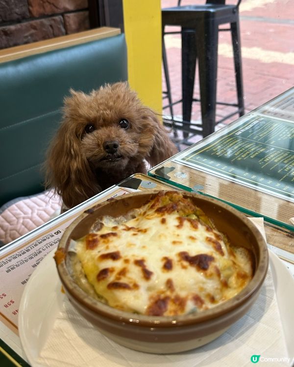 荃灣寵物友善西餐！狗狗都坐得🐶 下午茶勁抵！
