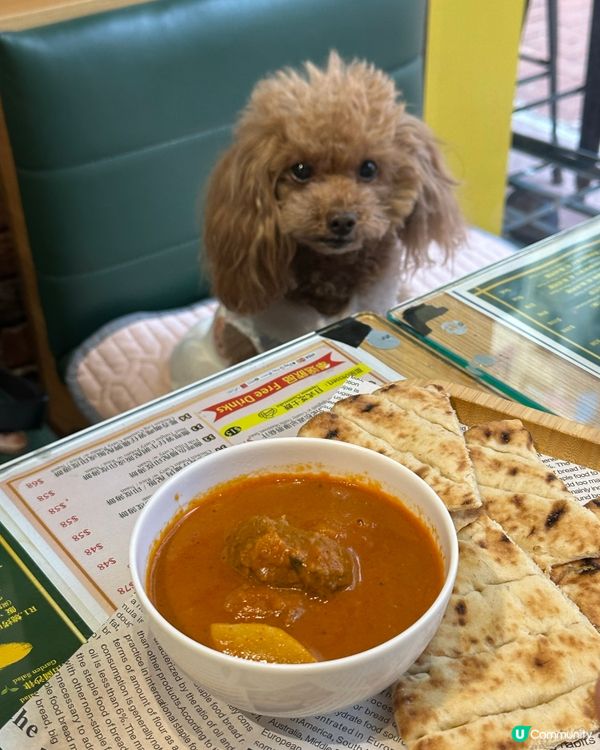 荃灣寵物友善西餐！狗狗都坐得🐶 下午茶勁抵！