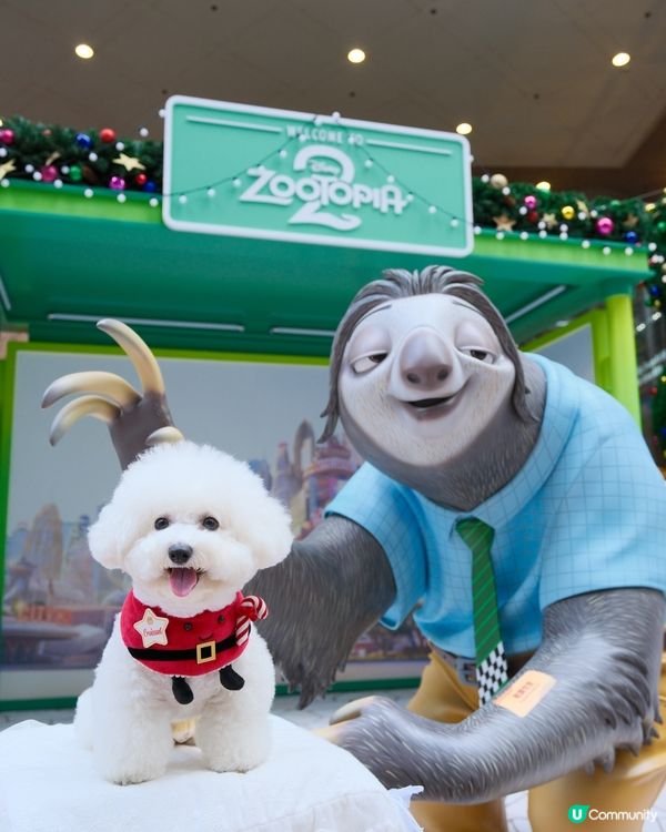 銅鑼灣不能錯過的聖誕影相