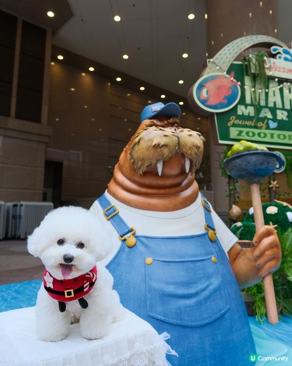 銅鑼灣不能錯過的聖誕影相