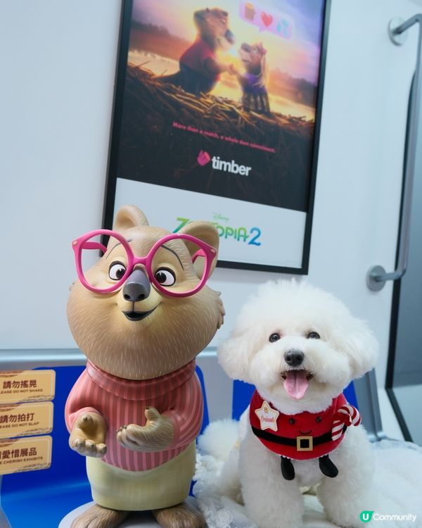 銅鑼灣不能錯過的聖誕影相