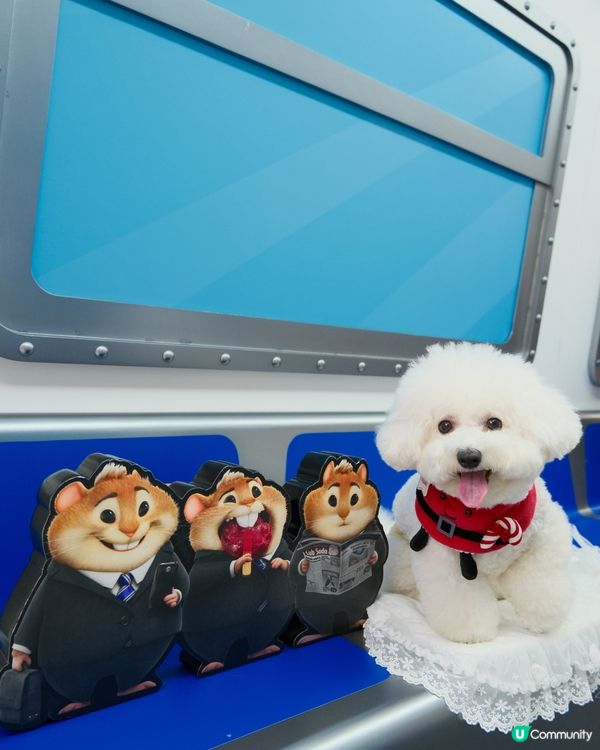 銅鑼灣不能錯過的聖誕影相