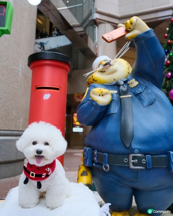 銅鑼灣不能錯過的聖誕影相