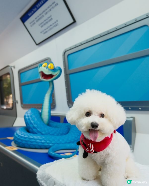 銅鑼灣不能錯過的聖誕影相