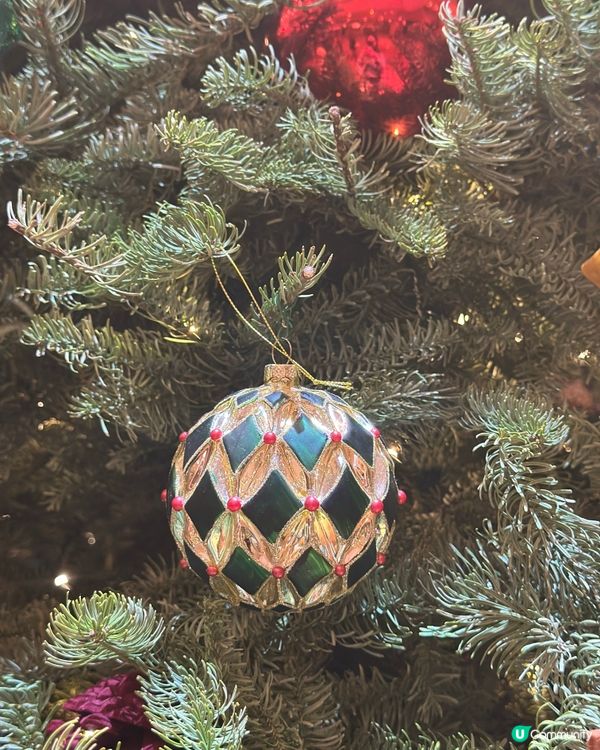 🎄太古廣場真聖誕樹🌲！秒入童話世界✨