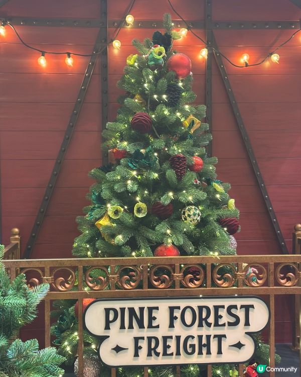 🎄太古廣場真聖誕樹🌲！秒入童話世界✨