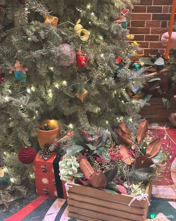 🎄太古廣場真聖誕樹🌲！秒入童話世界✨