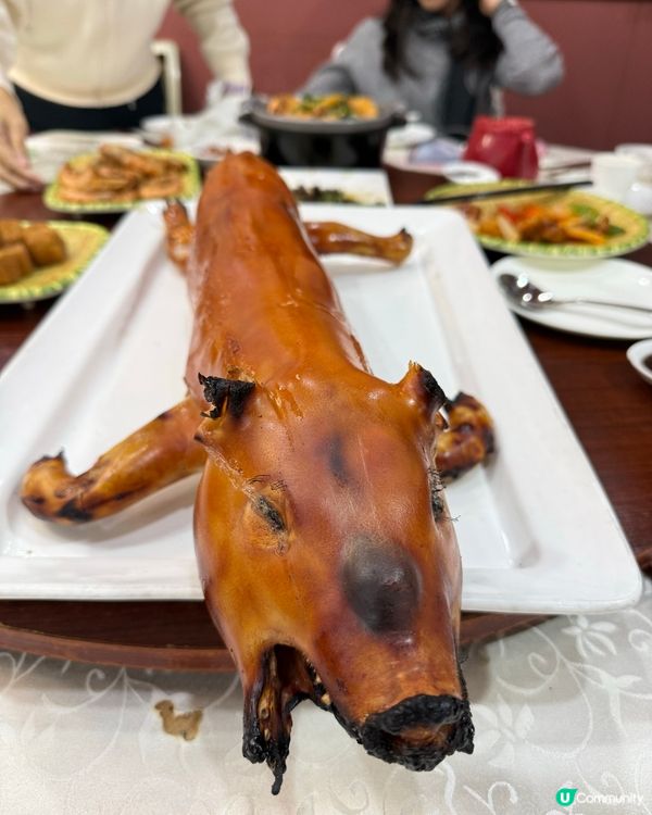 屯門人氣｢季季紅燒豬｣🐷皮脆肉嫩必試名物  