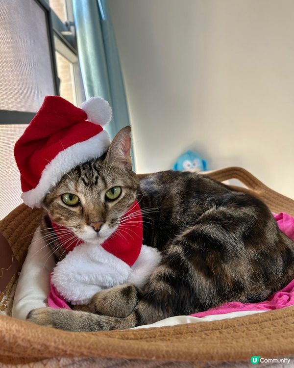 Merry Christmas 🎅🏻 