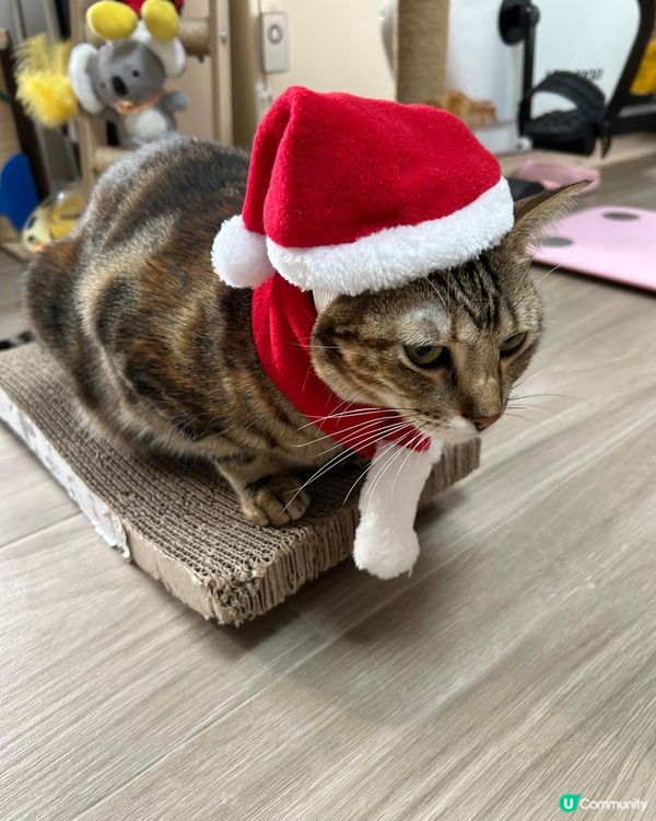 Merry Christmas 🎅🏻 