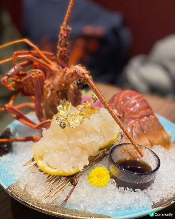 活伊勢龍蝦刺身！🦞 彈牙鮮味😋 #生日飯