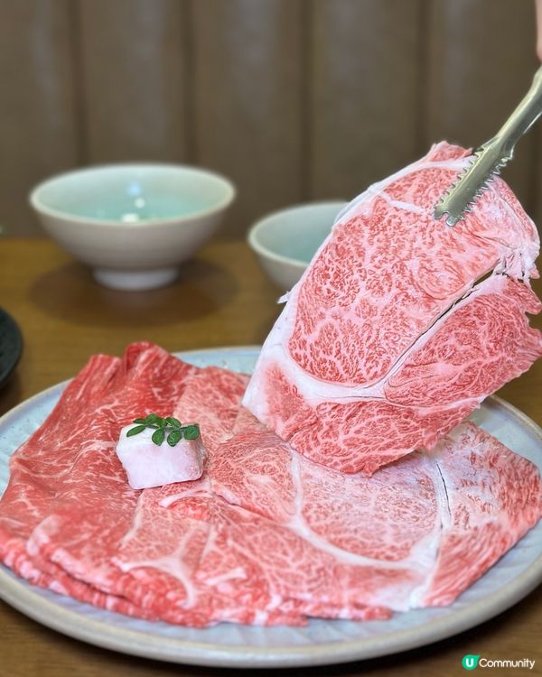 天氣冷了 就想吃壽喜燒