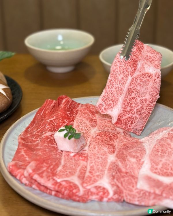 天氣冷了 就想吃壽喜燒