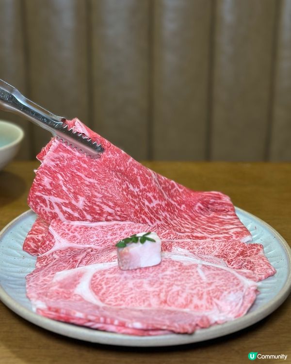 天氣冷了 就想吃壽喜燒