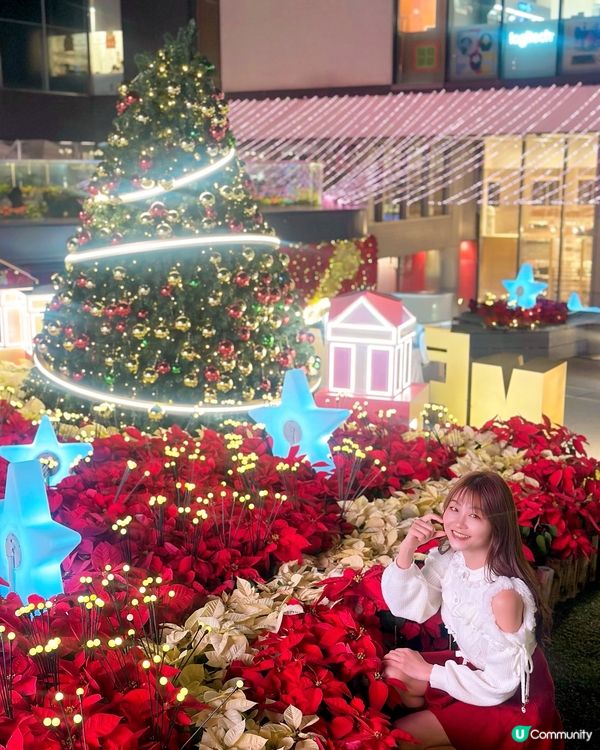 【全城至紅聖誕花海!新都會廣場萬朵聖誕花秘境】