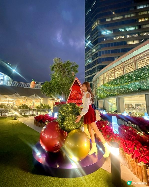 【全城至紅聖誕花海!新都會廣場萬朵聖誕花秘境】