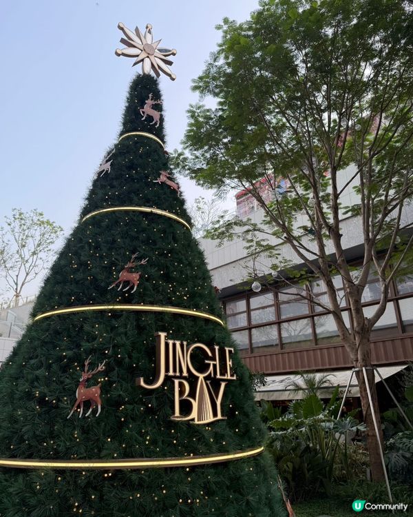 【🥰週末好去處✨深圳灣萬象城有意外驚喜！】