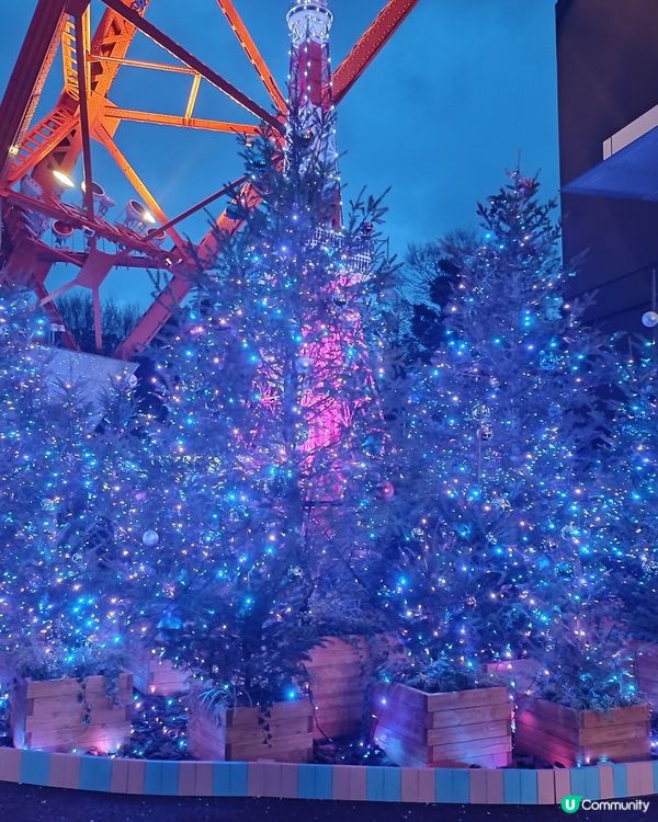 東京鐵塔 ｘ雙子星 冬日夢幻灯飾