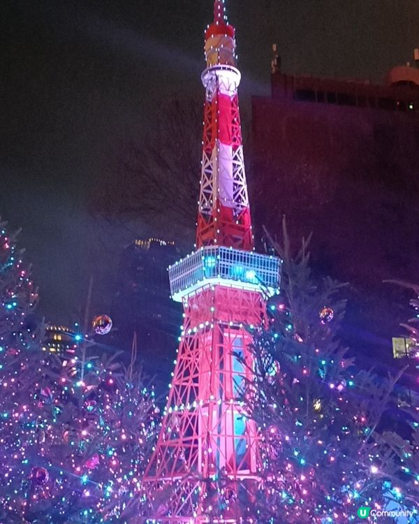 東京鐵塔 ｘ雙子星 冬日夢幻灯飾