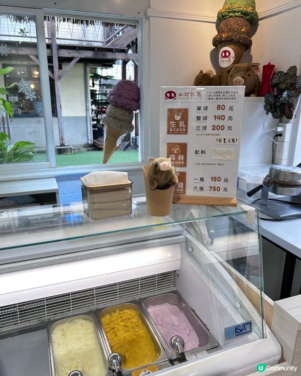 審計新村必食 💕 金萱烏龍 gelato 