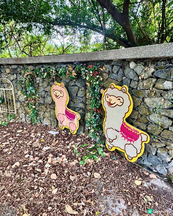 假期推介✅大埔蝶豆花園親子遊