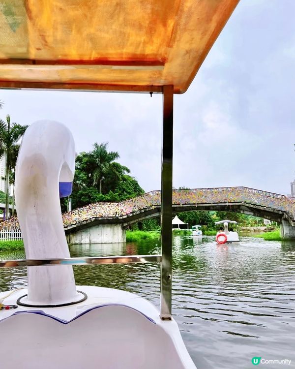 假期推介✅大埔蝶豆花園親子遊