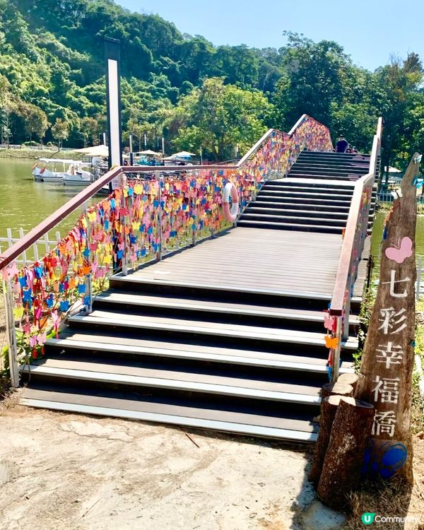 假期推介✅大埔蝶豆花園親子遊