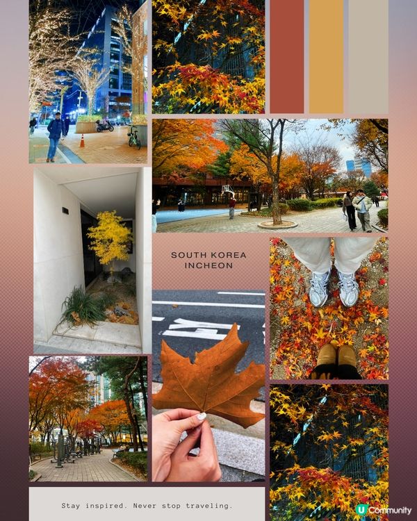 韓國賞楓🍁遊記！紅葉靚到爆！😍