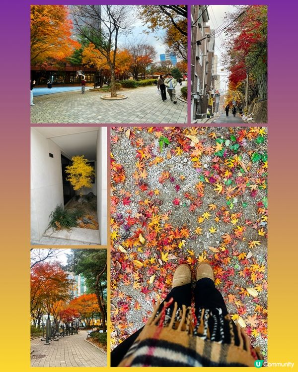 韓國賞楓🍁遊記！紅葉靚到爆！😍