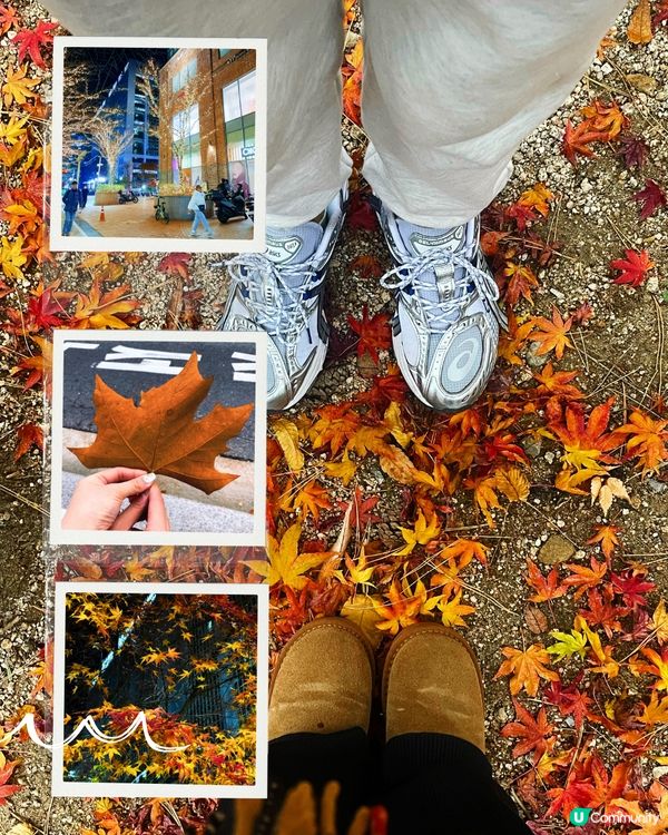 韓國賞楓🍁遊記！紅葉靚到爆！😍