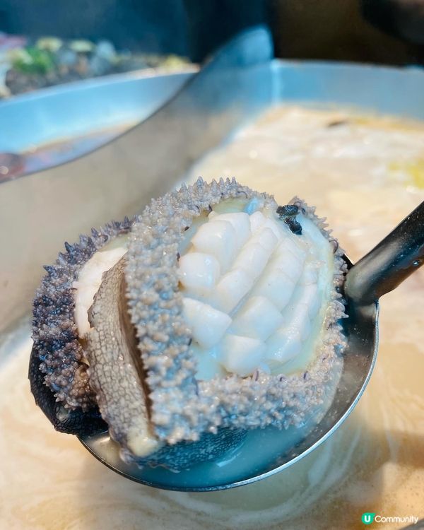 啟德➡️➡️➡️湊湊‧甄選 