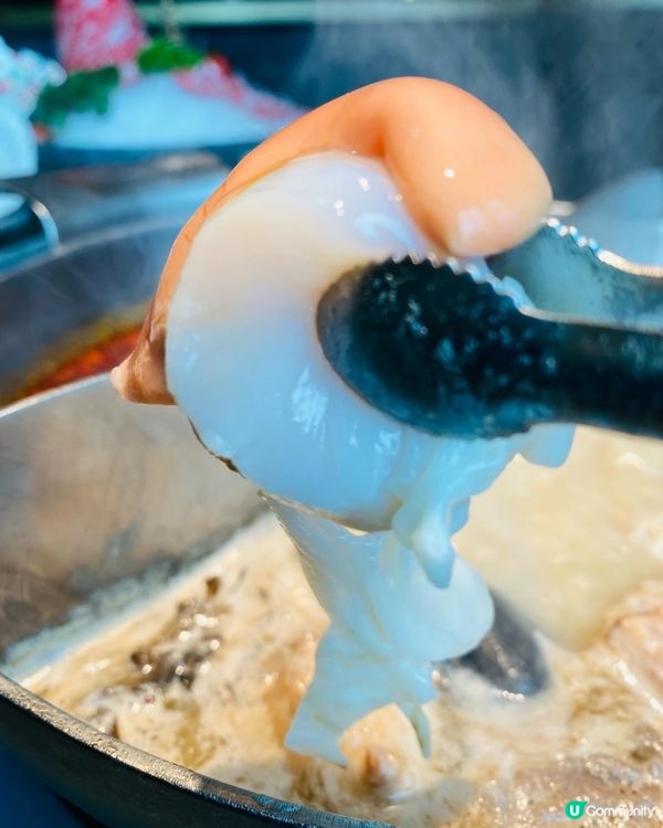 啟德➡️➡️➡️湊湊‧甄選 