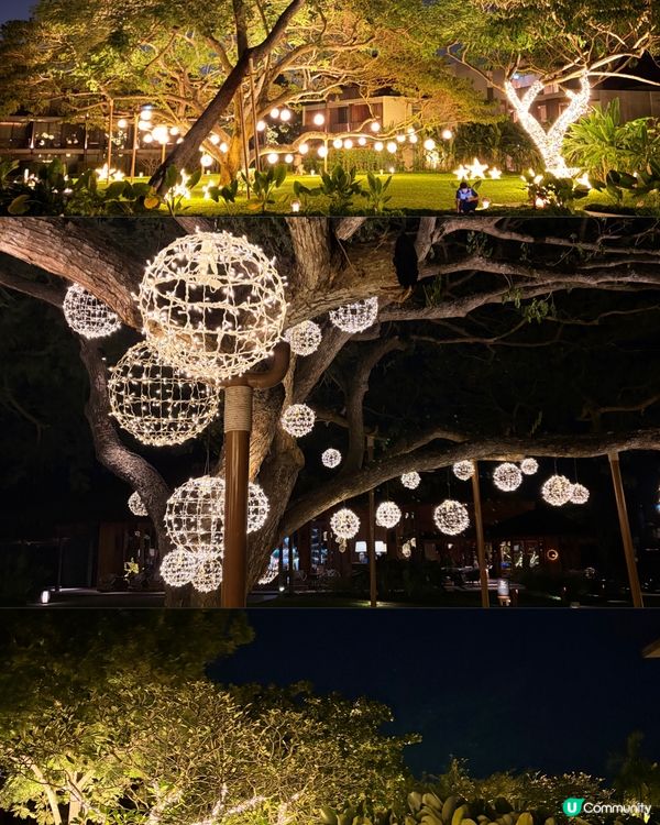 不愧為全球最美安達仕😍