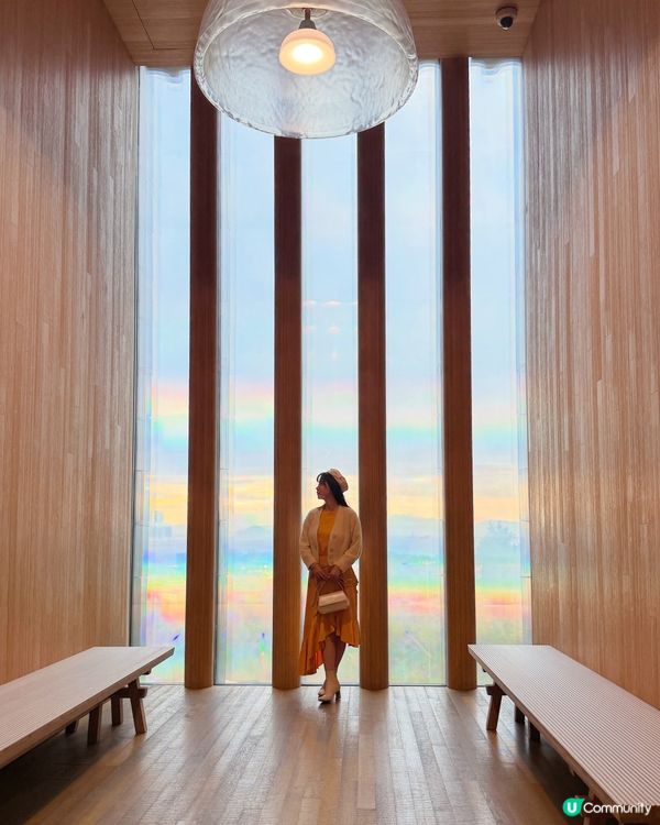 [聖誕提案🎄] 趁Xmas來一場M+藝術遊!最近M+文化博物...