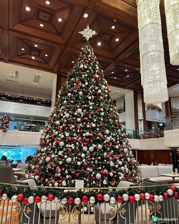 尖沙咀高質酒店住客體驗🏨