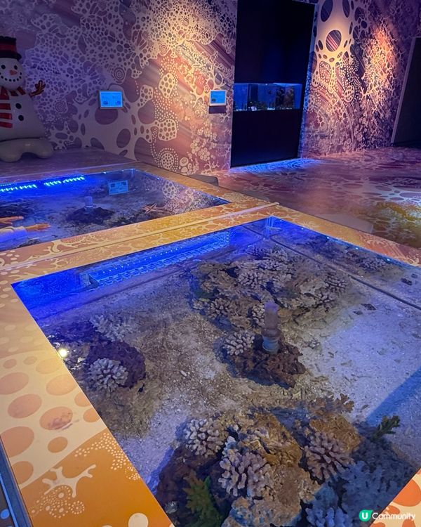 🐟🐠 廣島最新景點：Aqua Alive Museum水族館