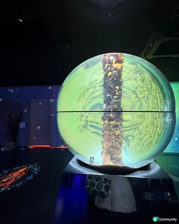 🐟🐠 廣島最新景點：Aqua Alive Museum水族館