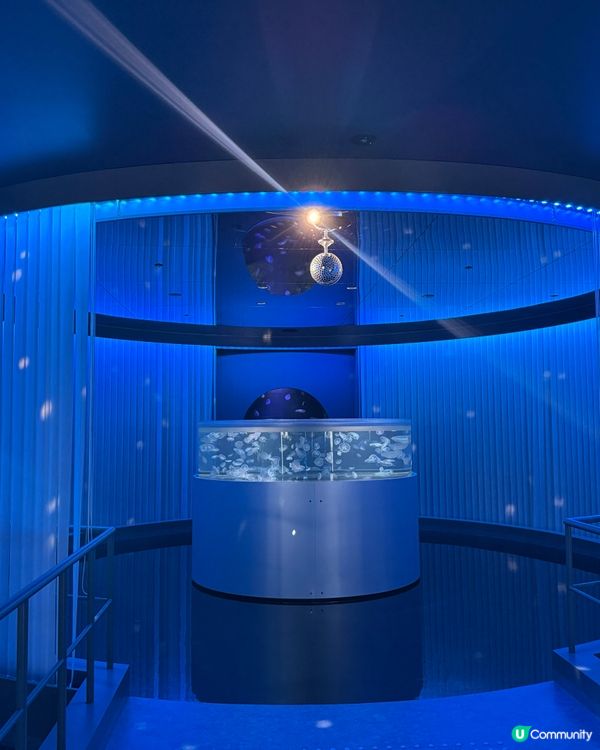 🐟🐠 廣島最新景點：Aqua Alive Museum水族館