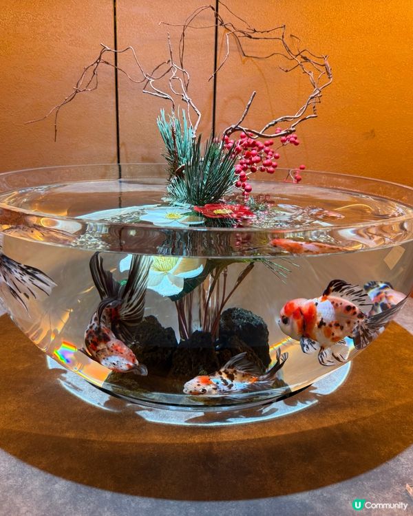 🐟🐠 廣島最新景點：Aqua Alive Museum水族館